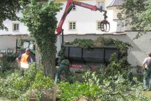 Entsorgung organischen Materials