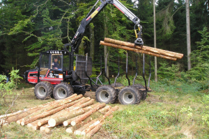 Fachgerechter Abtransport ...